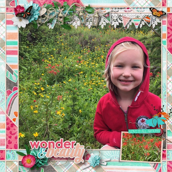 Wonder