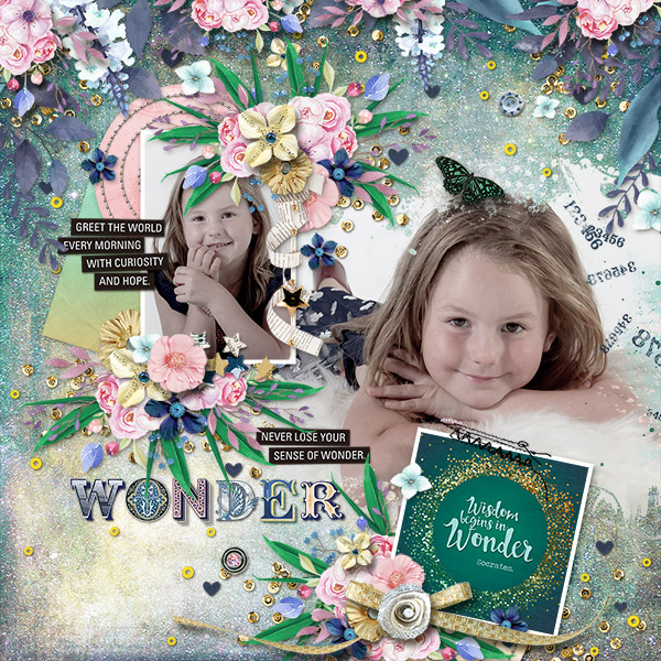 Wonder