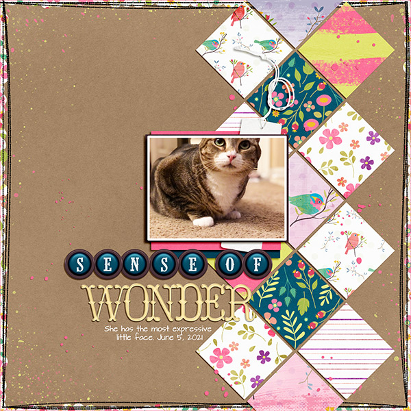 Wonder