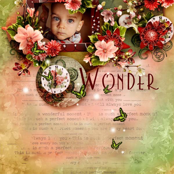 Wonder