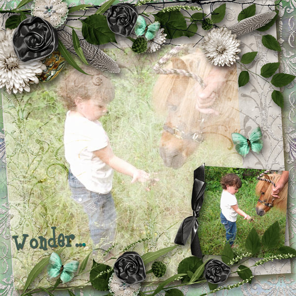 Wonder