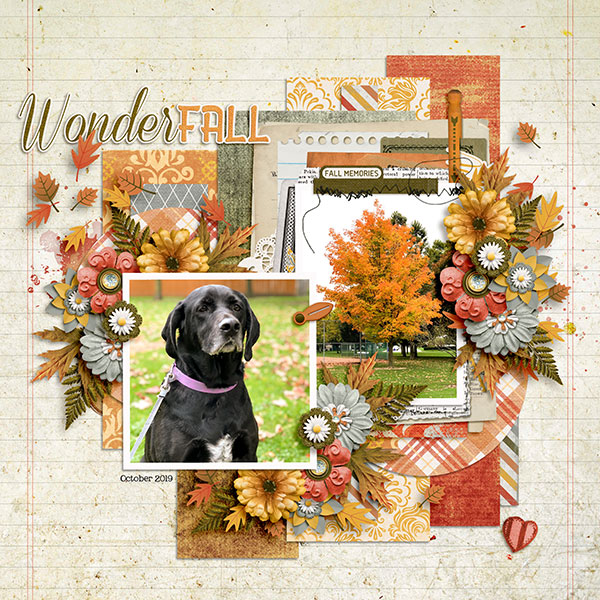 WonderFALL