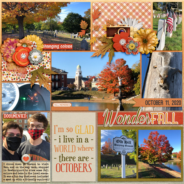 WonderFALL