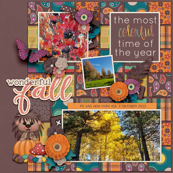Wonderful Fall