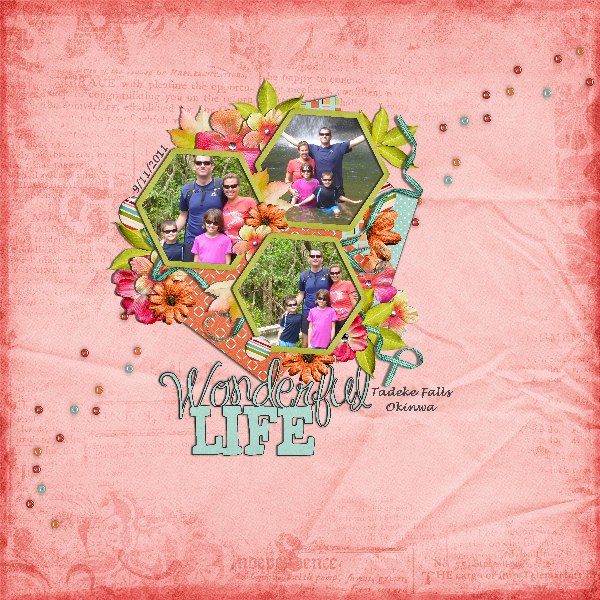 wonderful life