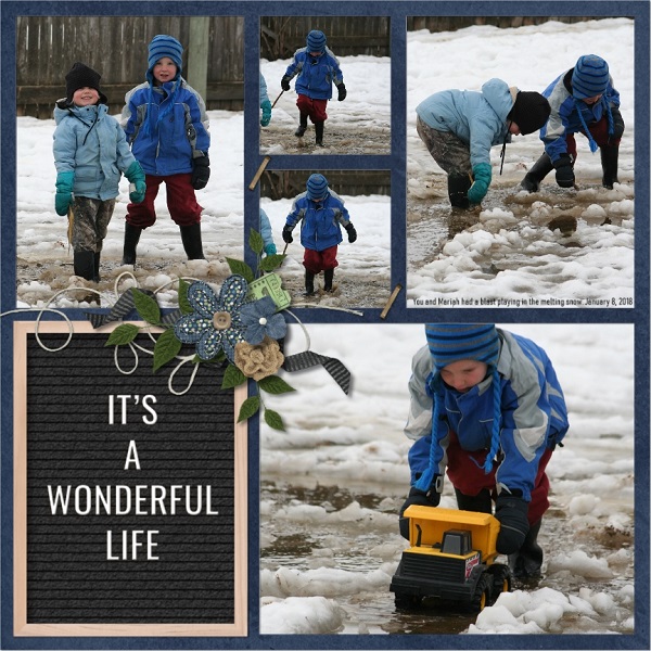 Wonderful Life