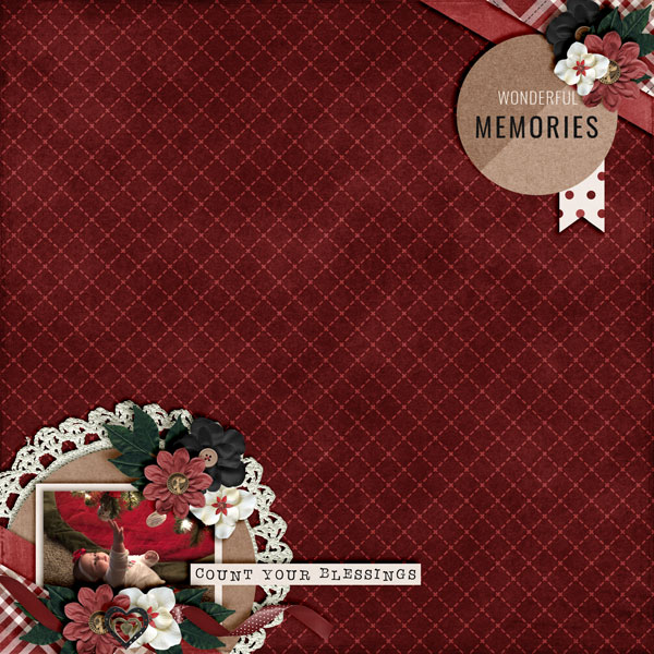 Wonderful-Memories