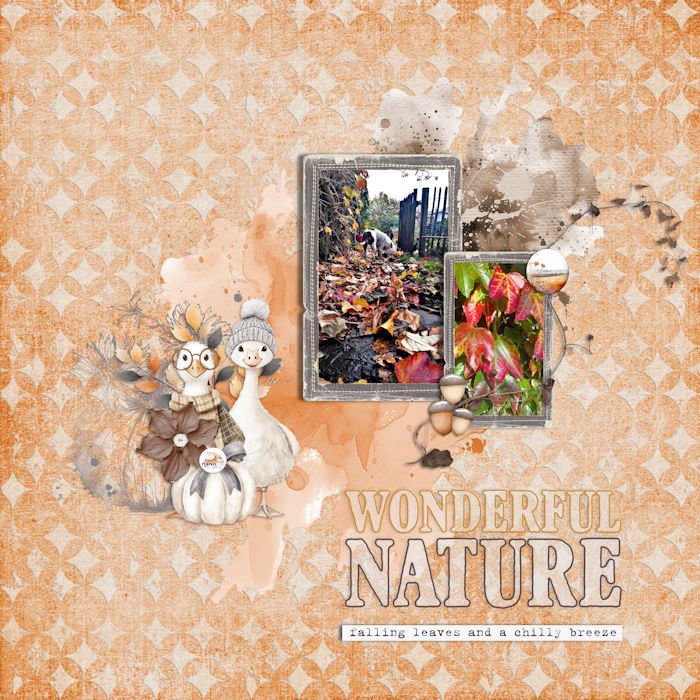 Wonderful nature