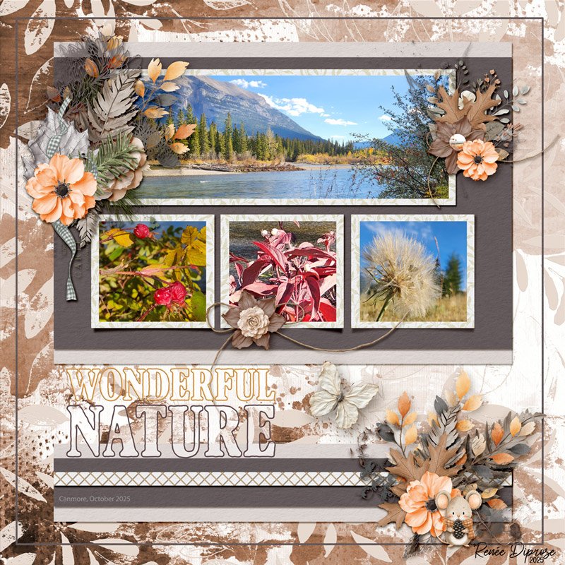Wonderful Nature