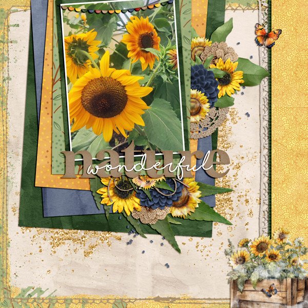 wonderful sunflowers