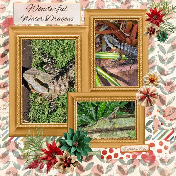 Wonderful Water Dragons