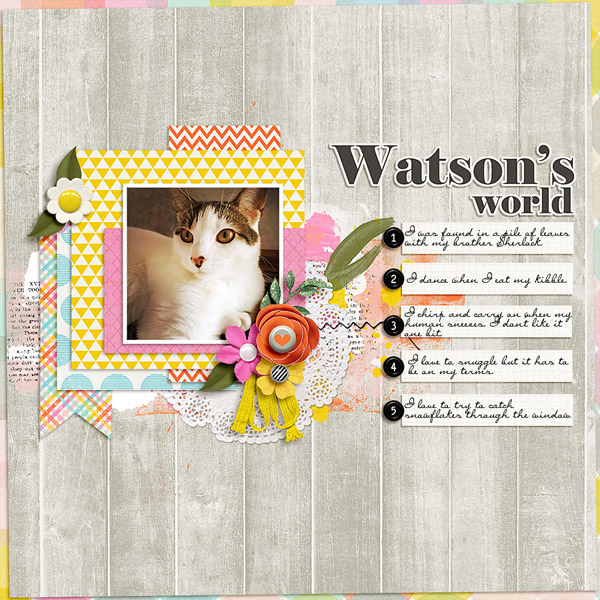 Wonderful Watson