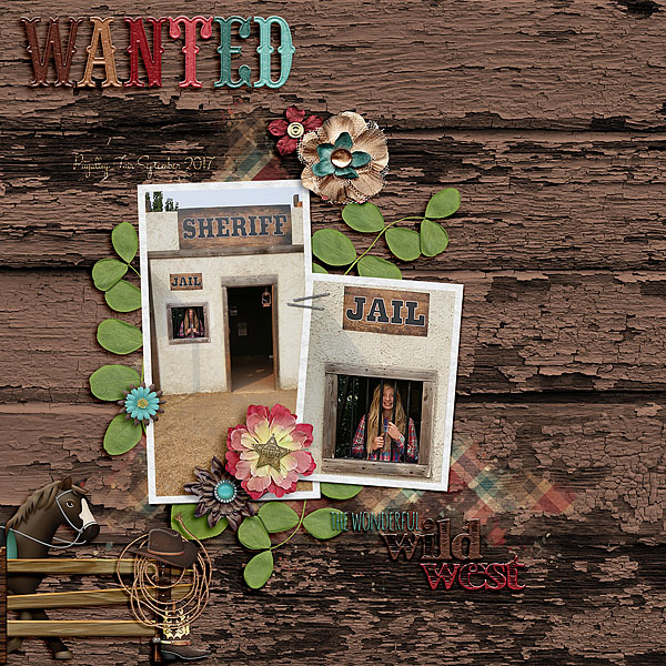 Wonderful Wild West