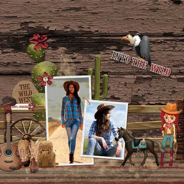 Wonderful Wild West