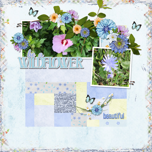 wonderful wildflowers