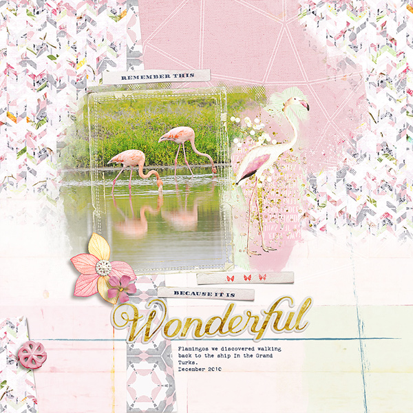 wonderful