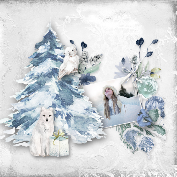 Wonderland vol1