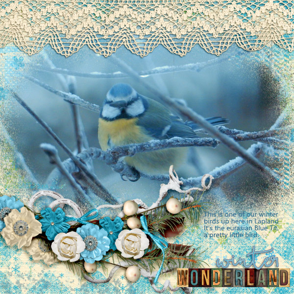 Wonderland4