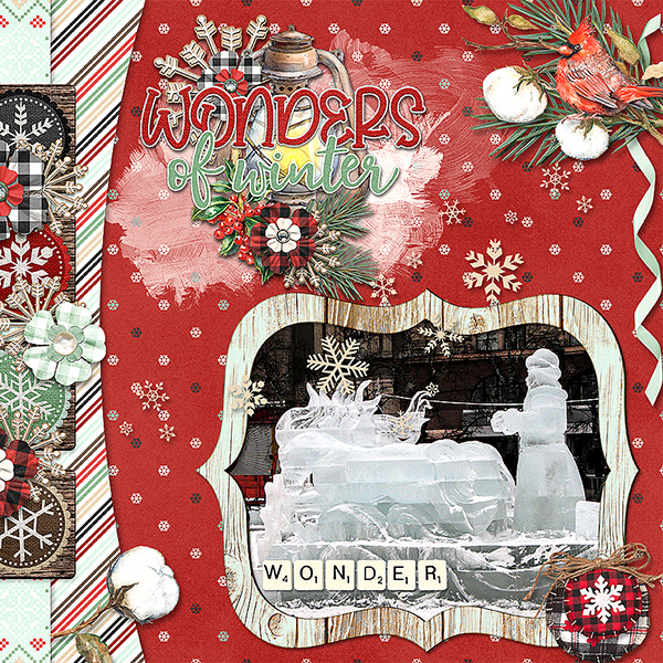 Wonders Of Winter