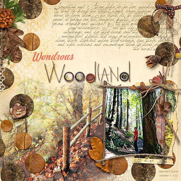 Wondrous woodland