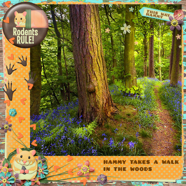 Woodland Adventure!