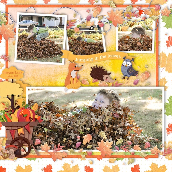 Woodland Animals