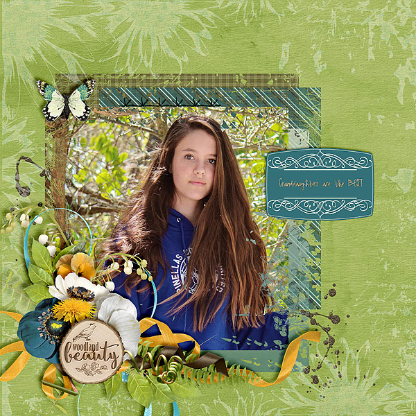 Woodland Beauty