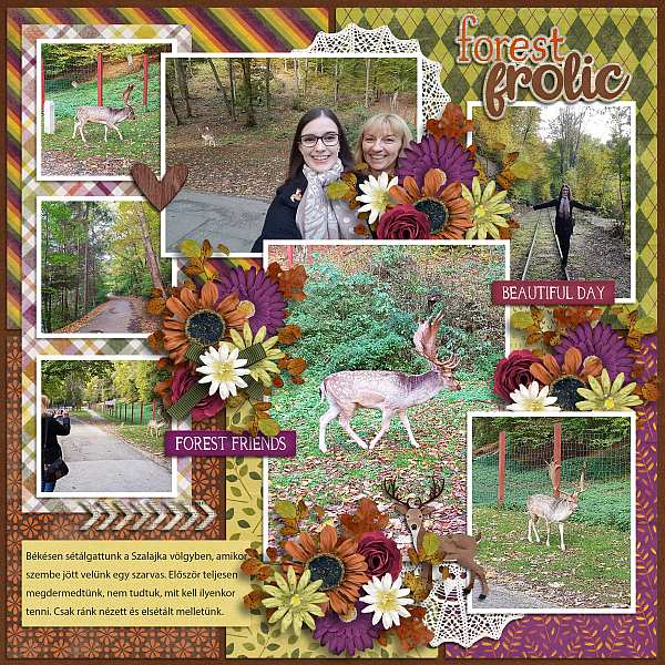 Woodland enchantment