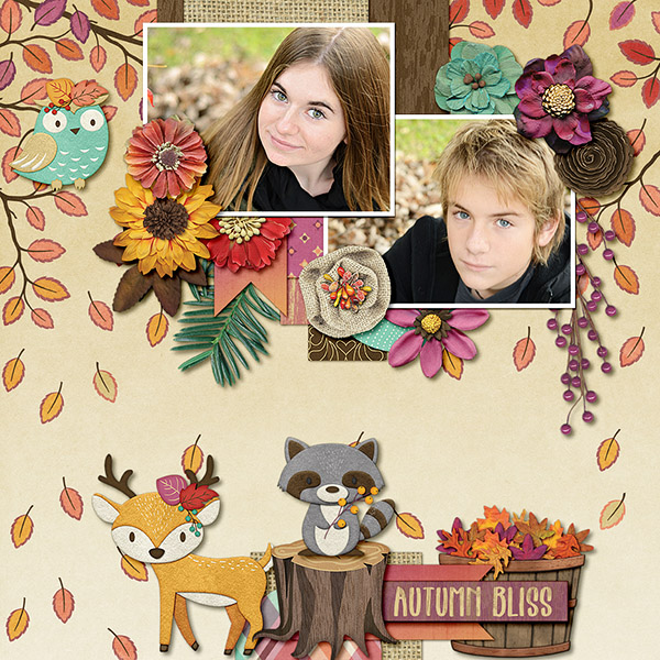 Woodland Fall
