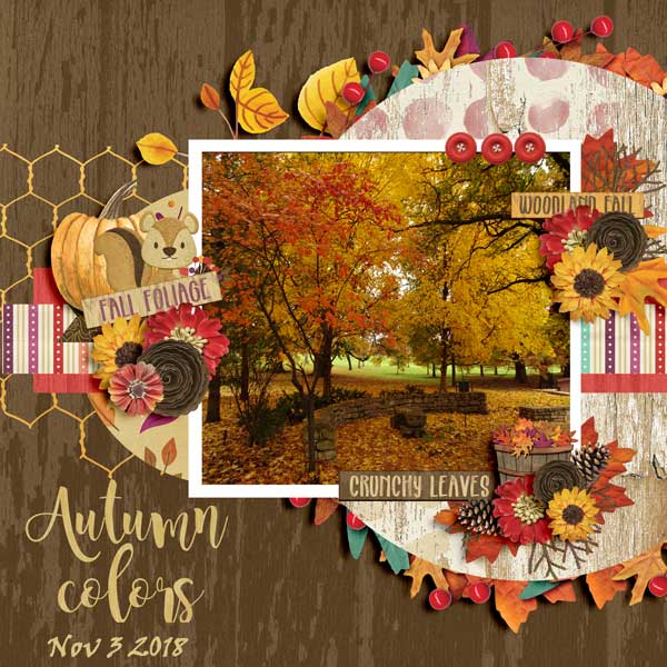 Woodland Fall