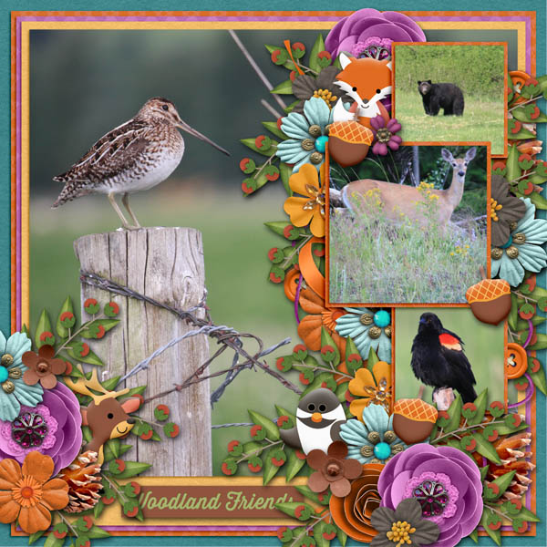 Woodland Friends