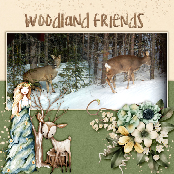 Woodland-friends