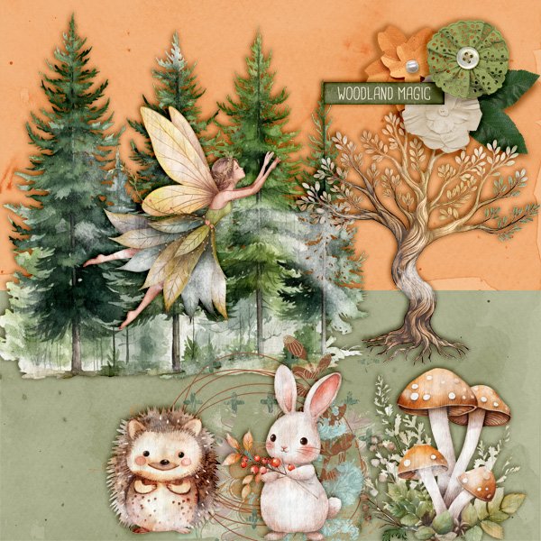 Woodland-magic.jpg