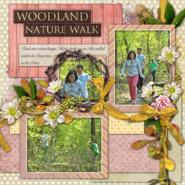 Woodland Nature Walk