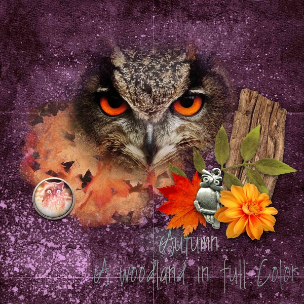 Woodland Owl