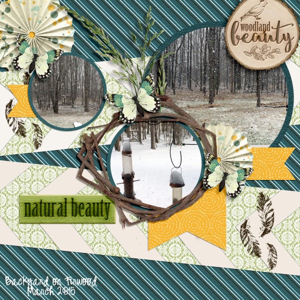 Woodland Spring