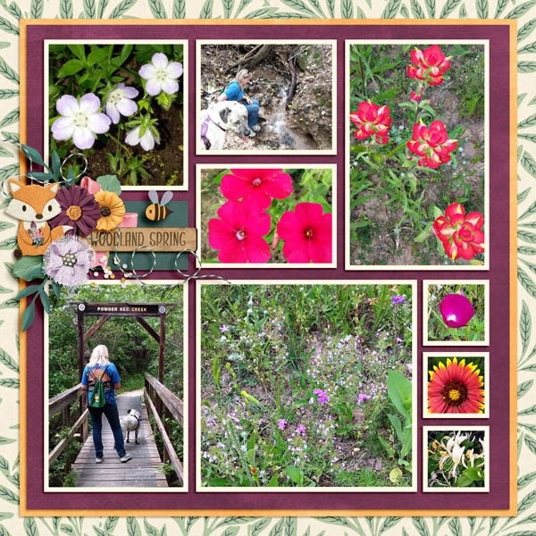 Woodland Spring