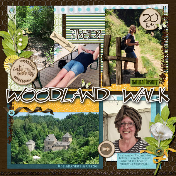 Woodland walk