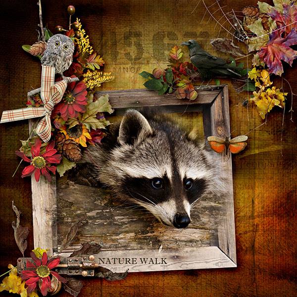 Woodland Walk
