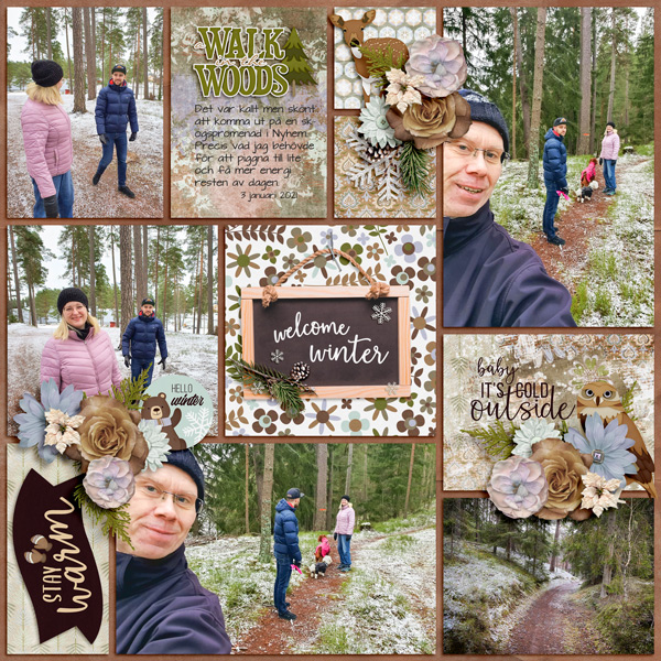 Woodland walk