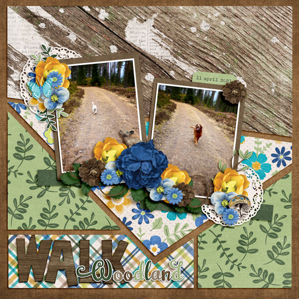 Woodland Walk