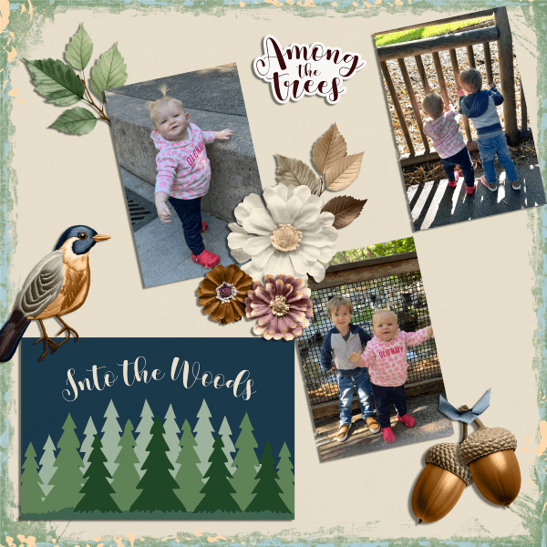 Woodland Walk