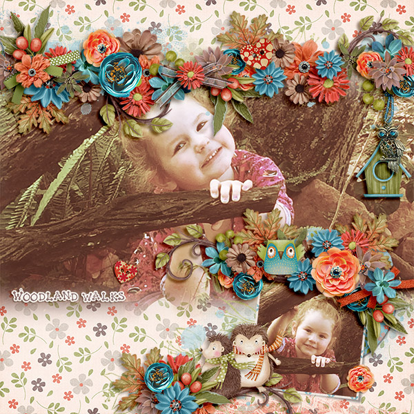 Woodland Walks