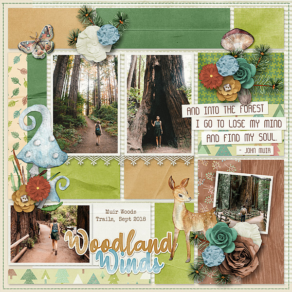Woodland Winds