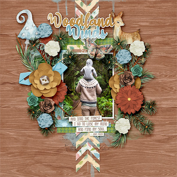 Woodland Winds