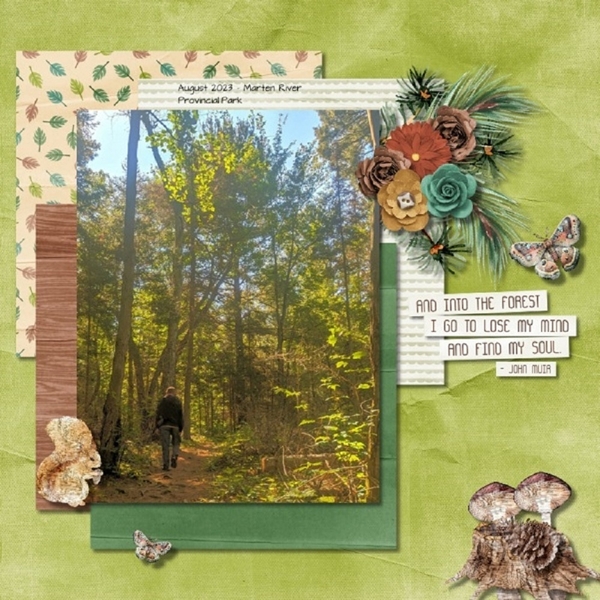 Woodland Winds