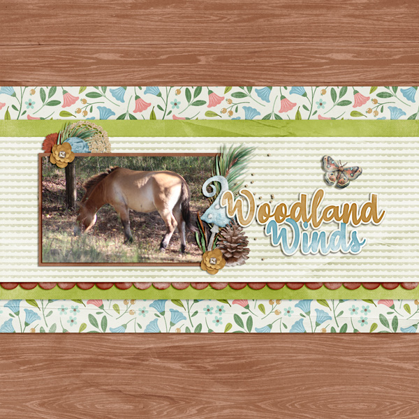 woodland winds