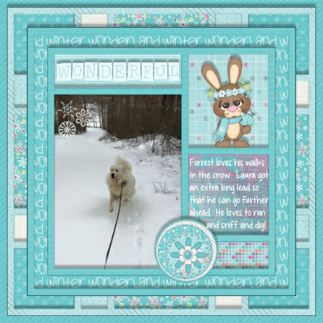Woodland Winter