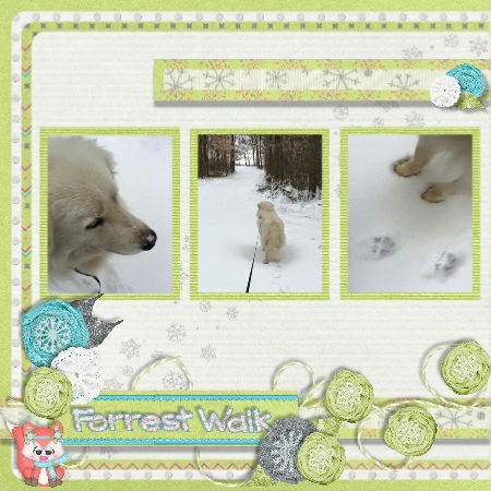 Woodland Winter