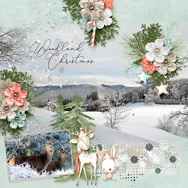 Woodland Winter